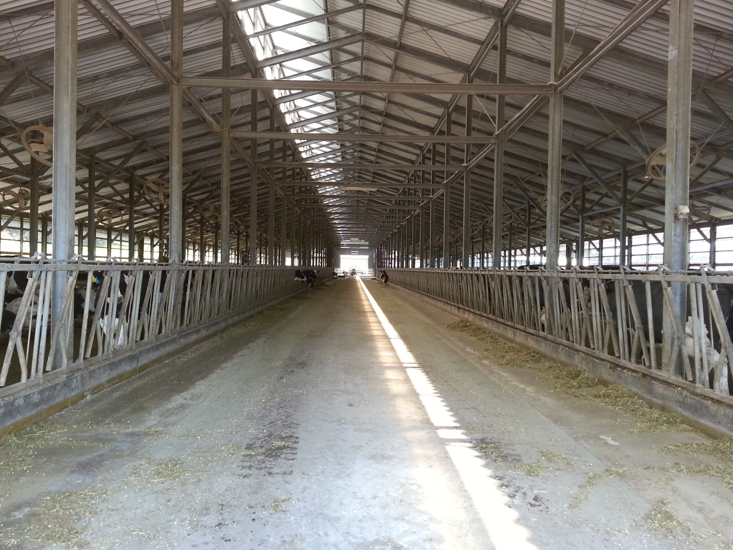 牛舎施工事例2